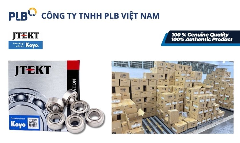 PLB Việt Nam chuyên cung cấp bạc đạn mini đến từ thương hiệu nổi tiếng